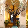 Albero della vita d